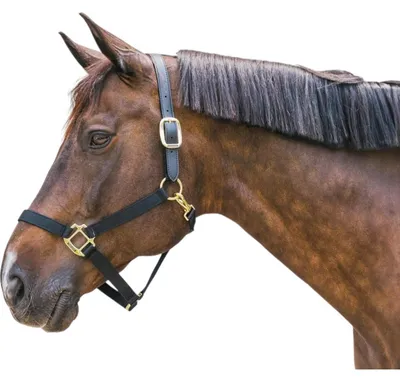 Immagine prodotto di Cavezza di nylon a strappo Kentucky Horsewear