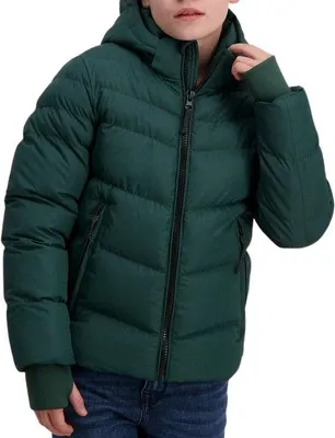 Produktbild von Cars Heyward Winterjacke Jungen