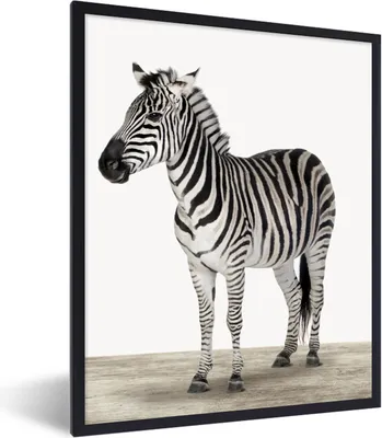 Produktbild von MuchoWow® Gerahmtes Poster Zebra - Mädchen - Tiere - Kinder - Jungen 60x80 cm - Poster mit Schwarzem Bilderrahmen Wandposter Rahmen Foto Bilder - Premium - Wanddeko Wohnzimmer