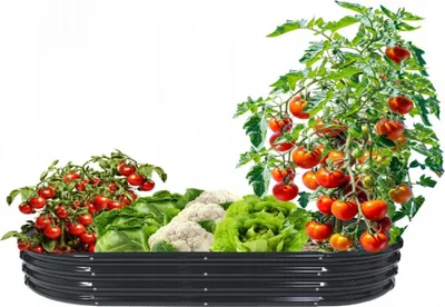 Produktbild von HOCHBEET 180x90x30cm Oval Anthrazit Pflanzenbeet Gartenbeet Pflanzkübel Blumenkasten Gemüsebeet Frühbeet Kräuterbeet Beeteinfassung Beetrand 8434