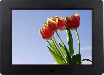 Image de Braun DigiFrame 857 - Digitaler Bilderrahmen - 20,32cm (8") [Energieklasse B] (21245)