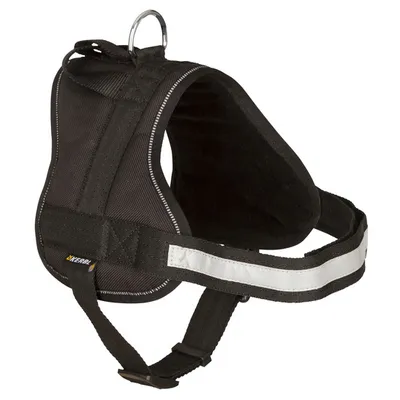 Produktbild von Kerbl Hundegeschirr Geschirr Maestro 1.0, schwarz, 15mmx30-38cm, mit Adresstube; 81066