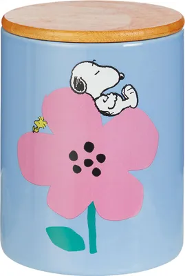 Produktbild von BUTLERS Aufbewahrungsdose PEANUTS