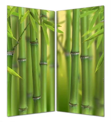 Produktbild von Wallario selbstklebende Duschrückwand 160 x 180 cm mit Motiv Grüner Bambuswald - Wandverkleidung mit Hochglanzlaminat in Glasoptik