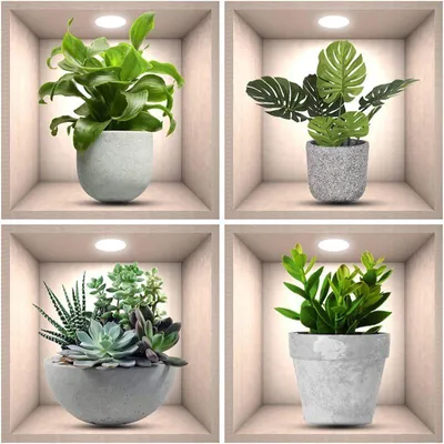 Imagen del producto de Adhesivos decorativos para macetas