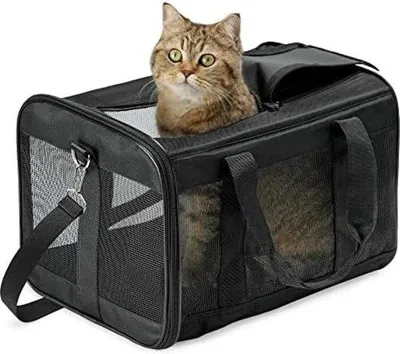 Produktbild von Famanu Haustierträger für Katzen und Hunde - Airline-zugelassen, Größe M