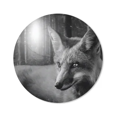 Produktbild von MuchoWow® Mauspad Mousepad Tiere - Fuchs - Wald - Schwarz - Weiß 50x50 cm - Mousepads - Maus Mat - Pad - Mausunterlage - Vinyl