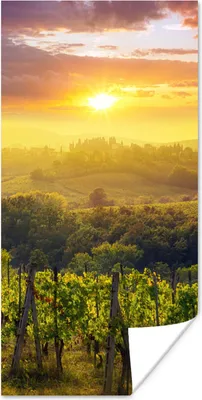 Produktbild von MuchoWow® Poster Toskana - Italien - Weinreben 60x120 cm - Wandschmuck