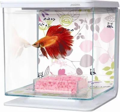 Obrázok produktu pre Marina Betta Kit, kvety