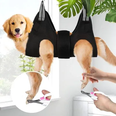 Image de Hamac de soin et harnais de maintien pour chiens et chats Unyqoos®, ensemble de 7 pièces (1 harnais, 2 crochets en forme de S, 2 mousquetons, 2 sangles), tissu 3D respirant à double couche, aide à la coupe des ongles, tailles S/M/L (25/27/30 cm, jusqu'à 14/23/34 kg)
