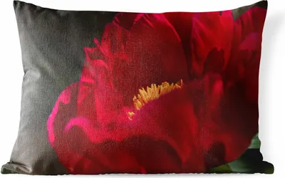 Produktbild von MuchoWow® Outdoor Kissen - Ein Bild einer roten Pfingstrose - 60x40 cm - Wetterfest - Lounge Kissen - Zierkissen - Kissen für Innenräume