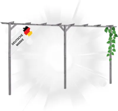 A wooden pergola with climbing ivy, set against a bright, radiating background.