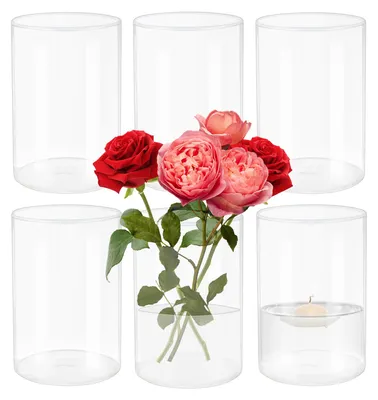 6er-Set Glaszylindervasen 8,5x15 cm, klar, Borosilikatglas