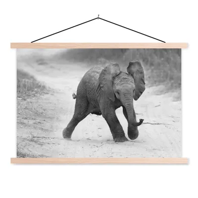 Produktbild von MuchoWow® Textilposter Elefant - Baby - Tiere - Kröte - Schwarz und weiß 120x80 cm mit holzfarbenen Rahmen - Aufhängeset