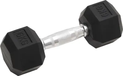Obrázek produktu pro vidaXL Činky 2 ks 12 kg celkem litina