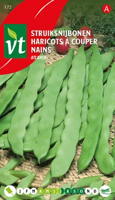 Produktbild von Bohnen Atlanta Samen - Ca. 50 gr | VT_172