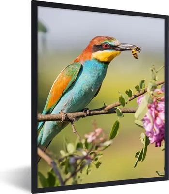 Produktbild von MuchoWow® Gerahmtes Poster Vogel - Bienenfresser - Blumen 60x80 cm - Poster mit Schwarzem Bilderrahmen Wandposter Rahmen Foto Bilder - Premium - Wanddeko Wohnzimmer