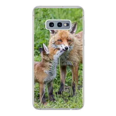 Produktbild von MuchoWow® Handyhülle Schutzhülle Hülle für Samsung Galaxy S10e Füchse - Kind - Gras Silikon Softcase Handy Hülle - Handy