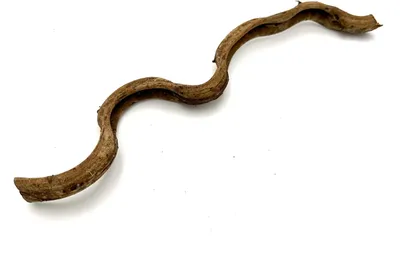 Obrázek produktu pro BioThai Liane 1-2cm/25cm