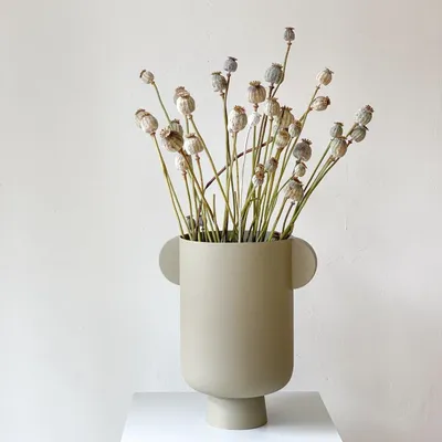 Produktbild von Mohnkapseln getrocknet 1 Bund (30-50cm) Natürliche Trockenblumen für Vasen Stil