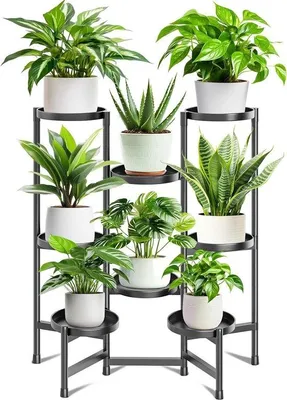 Image de Support pour plantes et fleurs « Zimmerwinkel » - 8 niveaux, noir