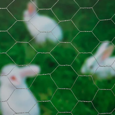 Produktbild von Nature Sechseckgeflecht 0,5x10 m 25 mm Verzinkter Stahl