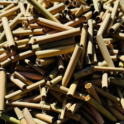 Zdjęcie produktu dla Rurki bambusowe, 1000 sztuk - Hotel dla owadów - Pomoc w zakładaniu gniazd dla dzikich pszczół - Naturalny bambus - Materiał wypełniający, średnica 6/8 mm - Idealne dla owadów