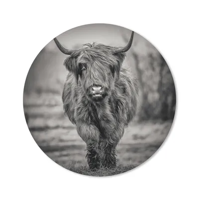 Produktbild von MuchoWow® Mauspad Mousepad Schottischer Highlander - Schwarz und Weiß 50x50 cm - Mousepads - Maus Mat - Pad - Mausunterlage - Vinyl