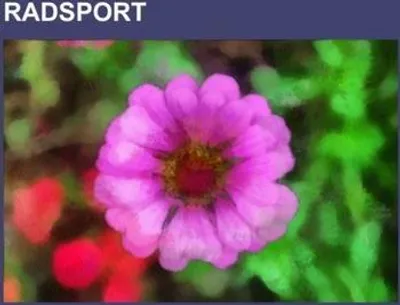 Immagine prodotto di Radsport