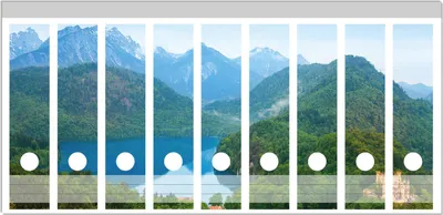 Produktbild von Wallario Ordnerrücken Sticker, selbstklebend für breite Ordner, 9 Stück, Motiv Schloss Hohenschwangau neben dem Alpsee