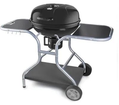 Image de Fieldmann FZG 1014 Grill Charbon de bois (combustible) Noir, Acier inoxydable