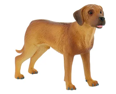 Produktbild von Bullyland 65442 - Spielfigur, Rhodesian Ridgeback Nelson, ca. 12 cm