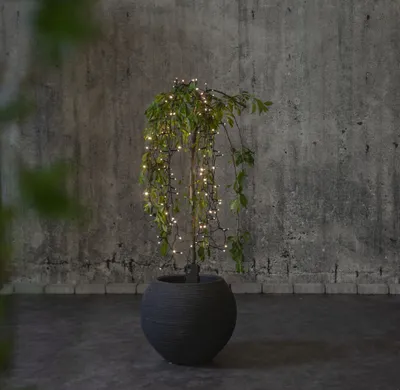 Produktbild von Star LED-Lichterkette 'Akku', 160 warmwhite LED,