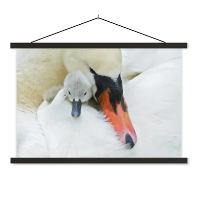 Produktbild von MuchoWow® Textilposter Schwan - Küken - Makro 90x60 cm mit schwarzem Rahmen - Aufhängungssatz