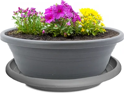 Produktbild von Pflanzkübel mit Untersetzer 25 cm Pflanzschale für aussen grau