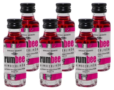 Produktbild von Birkenhof RumBee Himbeerlikör (25 x 0,02L)