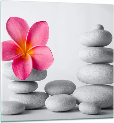 Produktbild von Bilder auf glas - Spa buddhismus ruhig blume - 60x60cm - Glasbilder - Wandbilder - Kunstdruck - zum Aufhängen bereit - Wanddekoration aus Glas - Glas Bilder - Wandbild auf Glas - GAC60x60-2304