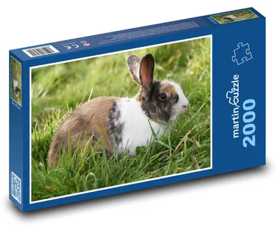 Obrázek produktu pro Puzzle 2000 Králíček na zelené louce - martinpuzzle