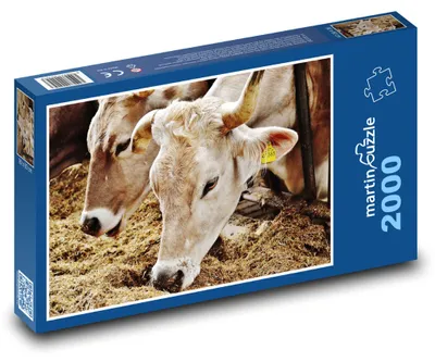 Produktbild von Puzzle 2000 Kühe auf dem Bauernhof - martinpuzzle