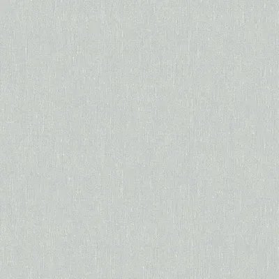 Obrázek produktu pro Borastapeter Tapeta hladká šedá - 660459 - 53 cm x 10,05 m