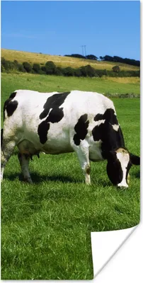 Produktbild von MuchoWow® Poster Kuh - Tiere - Gras 60x120 cm - Wandschmuck