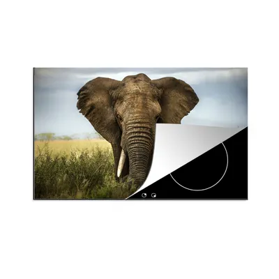 Produktbild von KitchenYeah© Herdabdeckplatte Elefant - Natur - Gras - Tiere - Landschaft , 76x51cm, Küche Deko, Glaskeramikkochfeld Herdabdeckung, Abdeckplatte fùr Kochfeld