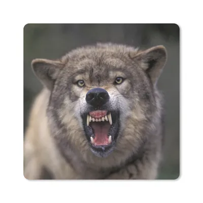 Produktbild von MuchoWow® Mauspad Mousepad Wolf - Maul - Zähne 20x20 cm - Mousepads - Maus Mat - Pad - Mausunterlage - Desk Mat - Bureauartikeln