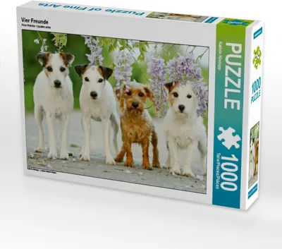 Produktbild von Calvendo Vier Freunde 1000 Teile Puzzle quer 640x480mm, Köntopp Kathrin; 7404293