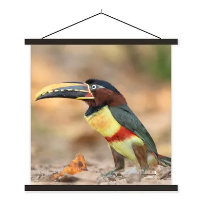 Produktbild von MuchoWow® Textilposter Vogel - Tukan - Federn - Natur 90x90 cm mit schwarzem Rahmen - Magnetisches