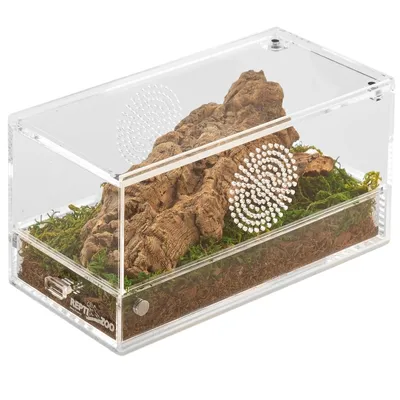 Image de Repti-Zoo Easy Clean terrarium acrylique - terrarium acrylique 20x10x10cm Repti-Zoo