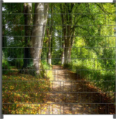 Produktbild von Wallario Zaunsichtschutz mit Motiv Weg im Sonnenlicht für Ein- und Doppelstabmatten Zäune in der Größe 200 x 200 cm