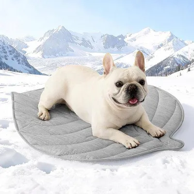 Productafbeelding van Famanu koelmat voor honden en katten, 83 x 71 cm - Waterbestendig en antislip