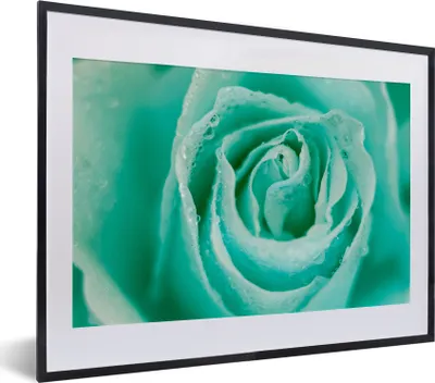 Produktbild von MuchoWow® MuchoWow® Gerahmtes Poster Mintgrüne Rose 40x30 cm - Poster mit zchwarzem Bilderrahmen - Bilderrahmen - Poster im Rahmen