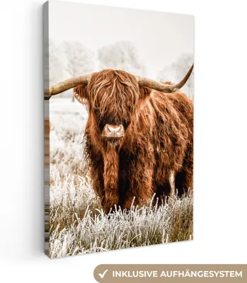 Zdjęcie produktu dla MuchoWow® - Obraz na płótnie - Szkocki góral - Krowa - Natura - Zima, fototapeta, dekoracja ścienna, obrazy do salonu, 60x90cm